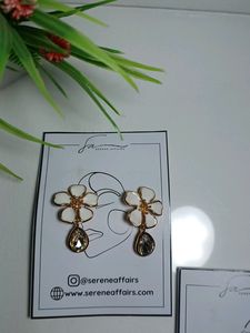 COMBO Of 2 Pinteresty Earrings