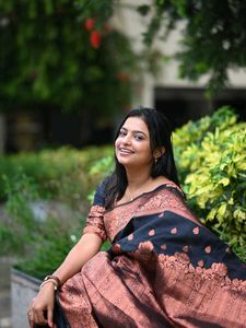 Elegant Black &amp; Copper Saree