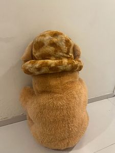 Life Size Teddy Bear