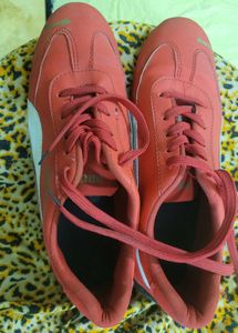 Puma Red Casual Shoes