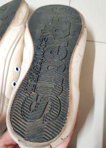 Superdry Cream Canvas Sneakers