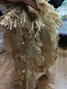Beautiful Golden Lace
