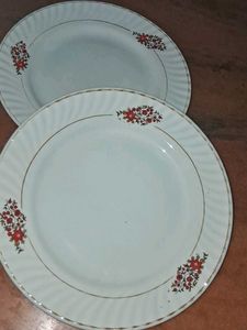 HITHARI Dinnerware Plates of 2