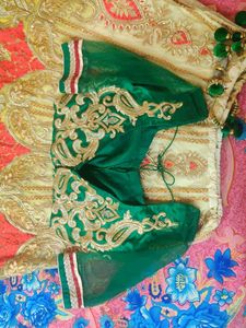 Embroidered Lehenga choli