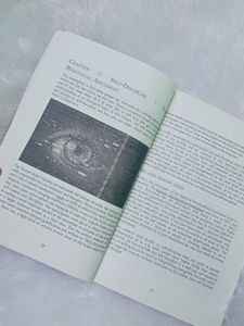 The Power of Discipline by Daniel Walter