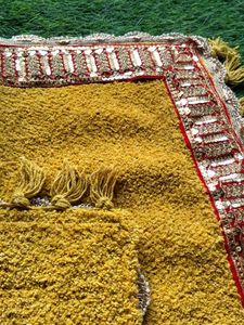 mustard Aasan with beautiful red lace