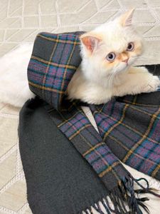 Cozy Plaid Scarf
