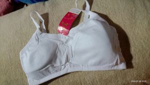 WOMEN'S PEDDED  BRA