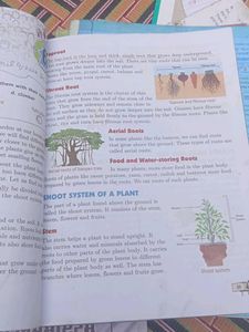Friends of the Earth Class 4