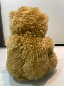 Cute teddy bear for kids or home decoration
