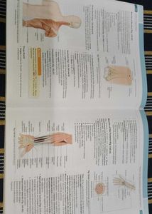 Applied Anatomy &amp; Physiology for Nurses Textbook