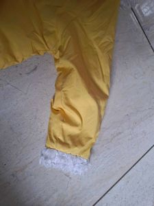 Cute Yellow Jacket