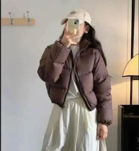 Brown Puffer Jacket