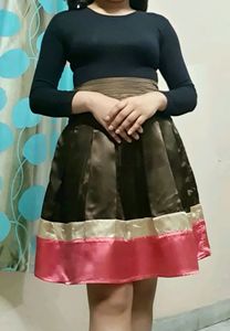 Brown and Pink Satin Skirt
