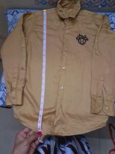 Party Wear Beautiful Boys Shirt
