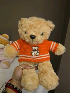 Cute Teddy Bear with Sweater