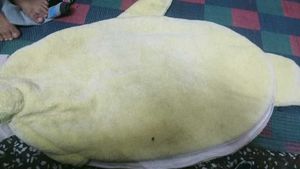 Cute Fish Kids Sleeping Bag