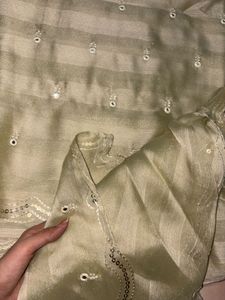 Elegant Light Green Mirror Work Saree