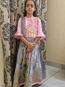 Beautiful Pink & Grey Embroidered Lehenga Choli