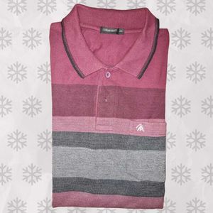 Striped Maroon Polo Shirt