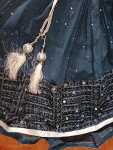 Cute Blue top and lehanga skirt
