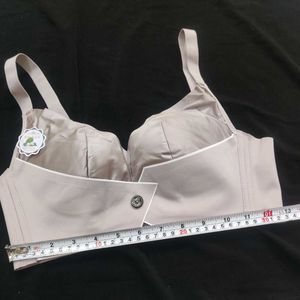 Elegant Gray Bra