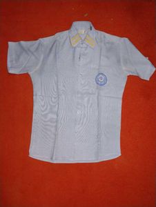 Vintage Blue Short Sleeve Button-Down Shirt