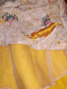 Beautiful Yellow Lehenga Choli