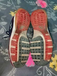 Campus Sports Shoes