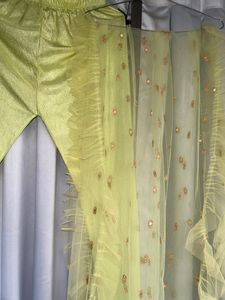 Lucknowi Design Moti Work Legenga Choli Set