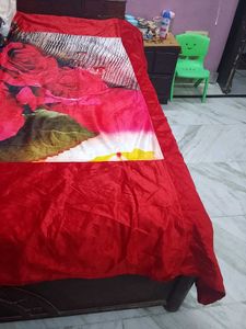 Vibrant Rose Print velvet bedsheet with pillows