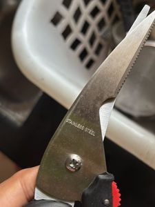 Fish Cutting Scissors ✂️