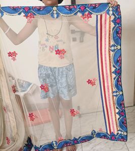 Beautiful Saree/ Ghagara