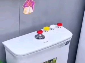 Decorative Cute Toilet Flush Push Button