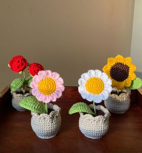 Crochet Flower Pots