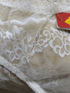2012 -- Transparent Lace Trim panty