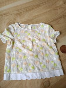 Sheer Floral Embroidered Top
