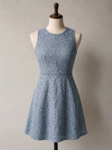 Chic Lace Fit & Flare Dress