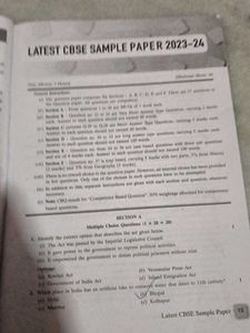 15+1 CBSE Sample Papers Social Science Class 10