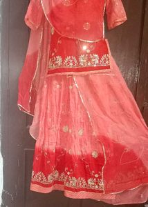 beautiful rajputi poshak