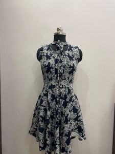Floral Print Skater Dress