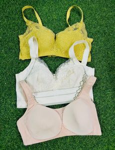36 size padded Comfortable Bras - Pack of 3