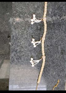 2 Elegant waist chain  combo of 8 items.