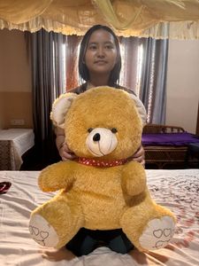 Cute Teddy Bear Plush Toy
