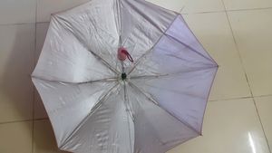 Pink Umbrella