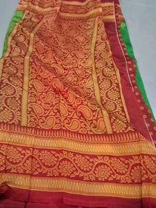 Vibrant Paisley Print Saree