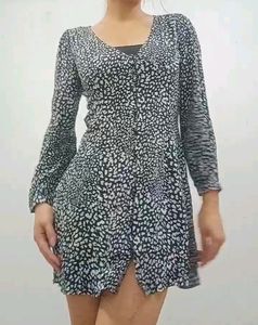 Zara Leo Print Dress