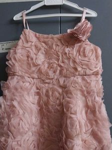 Rose Applique Party Dress