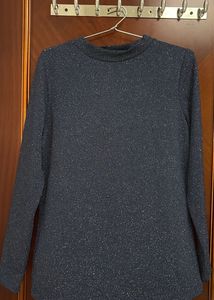 Sparkly Long Sleeve Top