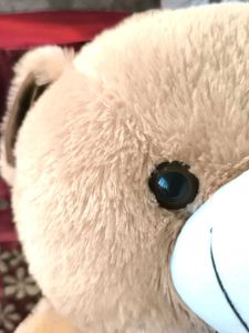 Teddy Bear 🧸